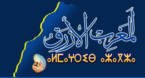 موقع المغرب الازرق يتعرض لهجومات الكترونية