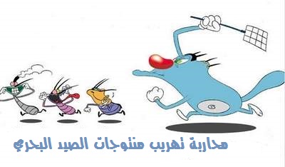 ضبط 99 صندوق من الاخطبوط معدة للتهريب بميناء العيون