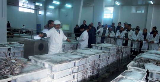 شهررمضان يستهل بتوقف تجار السمك بالجملة بالجنوب