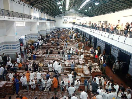 نجاح اضراب تجار السمك بالجملة و اجتماع طارئ مع وزير الصيد البحري