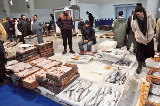 نجاح المفاوضات حول قانون 14.08،و ارتياح وسط مهنيي الصيد البحري