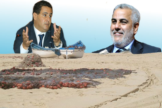 جمعيات الصيد التقليدي بجهة وادي الذهب الكويرة تسائل رئيس الحكومة حول اقصائها من دعم المحروقات