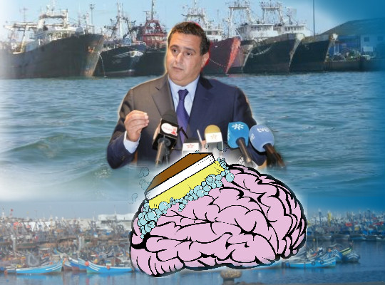 فضيحة: الاعلام الرسمي المغربي يعتم على قطاع الصيد البحري