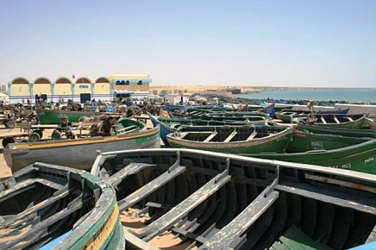 مهنيو  الصيد التقليدي ببوجدور يستنكرون هزالة الحصيص في صيد الاخطبوط