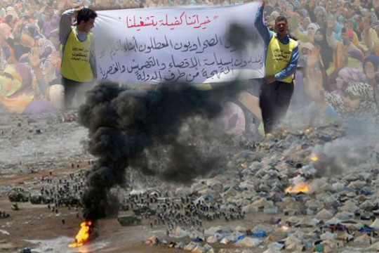 هل ستتمكن وزارة الصيد البحري من جر المغرب الى ما عجز عنه  الربيع العربي