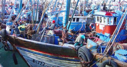 مهنيو الصيد الساحلي يؤكدون استمرار اضرابهم رغم تشويش اصدقاء الوزير.