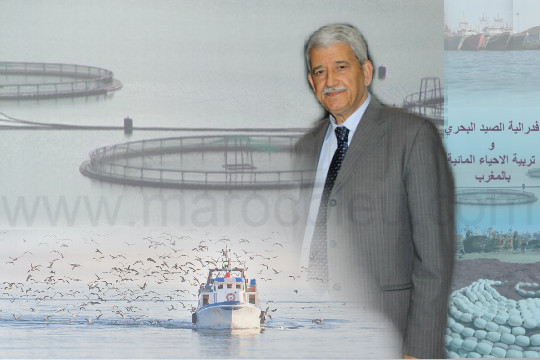 تهنئة خاصة للسيد عمر العكوري رئيس فدرالية الصيد البحري و تربية الاحياء المائية بالمغرب