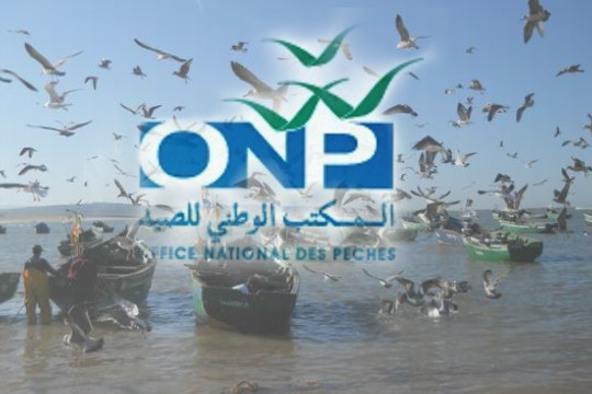 رئيس الحكومة مدعو الى محاسبة المكتب الوطني للصيد