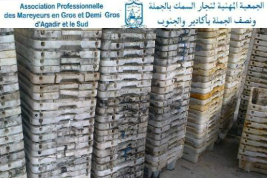 الجمعية المهنية لتجار السمك بالجملة و نصف الجملة  بأكادير و الجنوب ترفض استعمال صناديق الفيكيكي