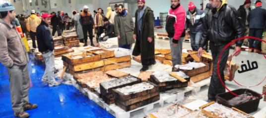 هكذا وضعت لوبيات وشبكات منظمة يدها على الثروة السمكية للمغاربة