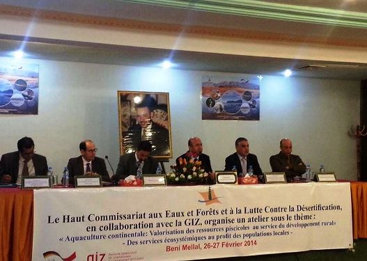 بني ملال تحتضن ورشا وطنيا حول تربية الأسماك