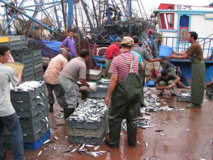 الضريبة على الاسماك السطحية تحرك تجار السمك