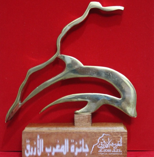 جائزة المغرب الأزرق،رؤية استراتيجية لثتمين الكفاءات