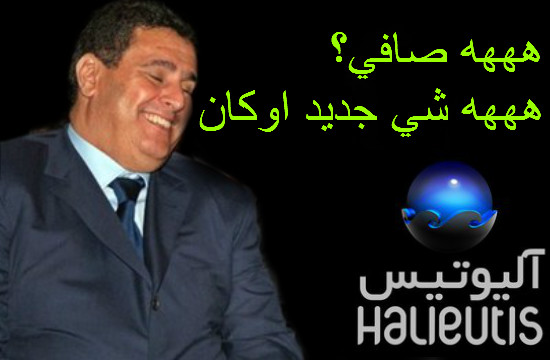 مصالح الصيد البحري تضبط شهادات مشتبه في صحتها و ارقام تشير الى 200.