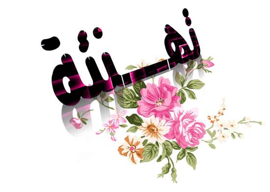 محمد سالم الكرش مديرا لمعهد التكنولوجيا للصيد البحري