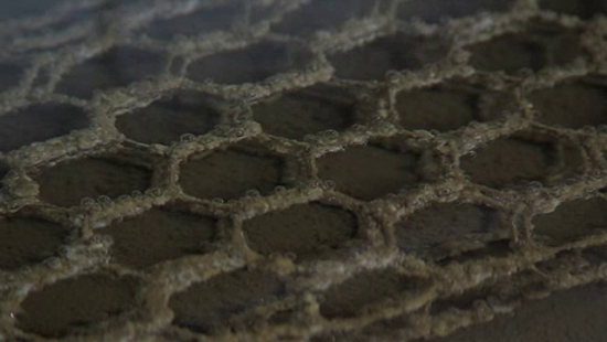 A Luc-sur-Mer, des scientifiques bas-normands cultivent du corail artificiel