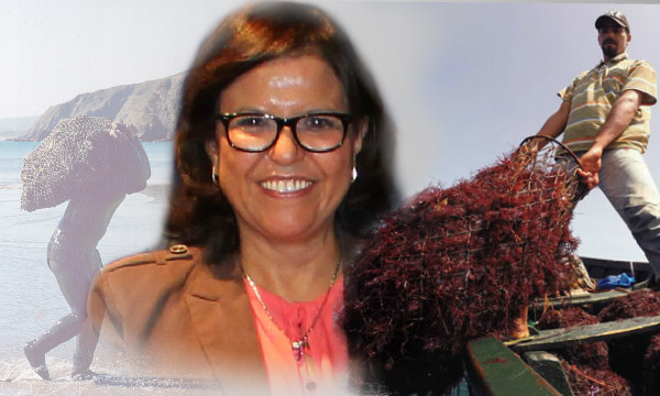 الفيدرالية الإقليمية للصيد البحري بإقليم الجديدة تشيد بمجهودات وزارة الصيد البحري لكبح جماح لوبيات الفساد بالقطاع