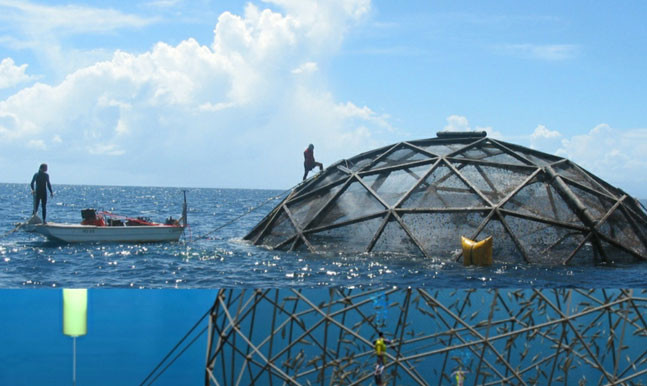 الاسماك المستزرعة تكتسح موائد العالم