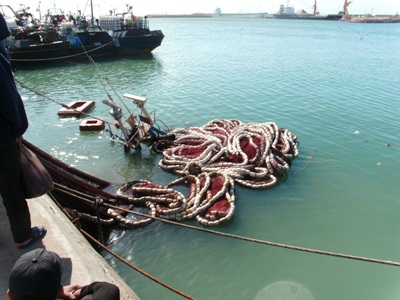 غرق مركب للصيد الساحلي بميناء العيون يثير القلق  من الفوضى و التساؤلات حول السلامة.