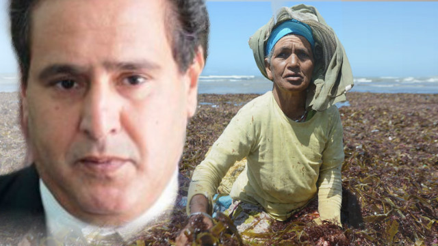 تعاونيات الصيد البحري بإقليم الجديدة تطلب من وزير الصيد إنصافها