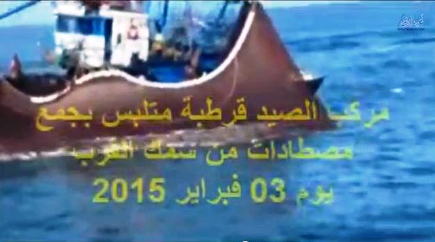 جمعيات تتابع قرطبة قضائيا،بعد  تلبس المركب قرطبة في الصيد العمد الغير المبين في الرخصة  و التخلص من الحمولة