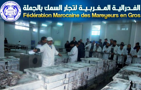 تجار السمك يستهلون فاتح ماي بسلسلة وقفات احتجاجية