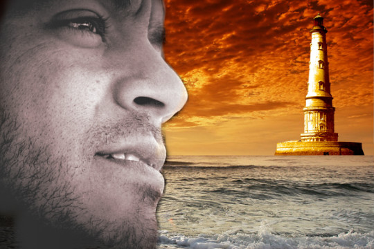 صراع النحل و الذباب من أجل الكرامة