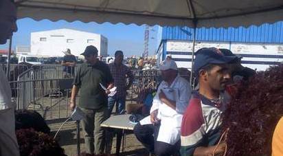 موسم جني الطحالب البحرية بالجرف الاصفر افتتاحية متميزة