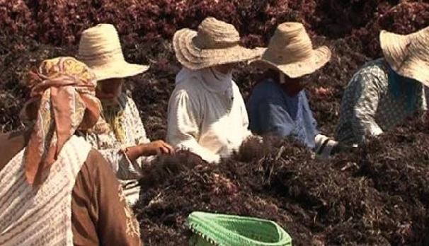 هجوم شنيع على مندوب الصيد البحري بالجديدة و اتهامات بتشجيع النساء على الدعارة