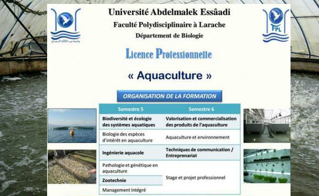 الكلية المتعددة الاختصاصات بالعرائش تطلق الاجازة المهنية في شعبة تربية الاحياء المائية