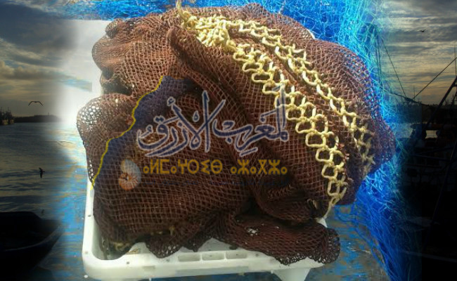 مصالح المراقبة بمندوبية الصيد البحري بطانطان  تضبط الشباك المزدوجة”الترامبا”” لدى مركب للصيد بالجر”