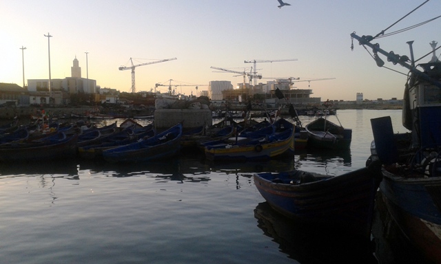 بركة الشريف الادريسي تفضح مافيا البنزين المدعم/المهرب بميناء الدرالبيضاء