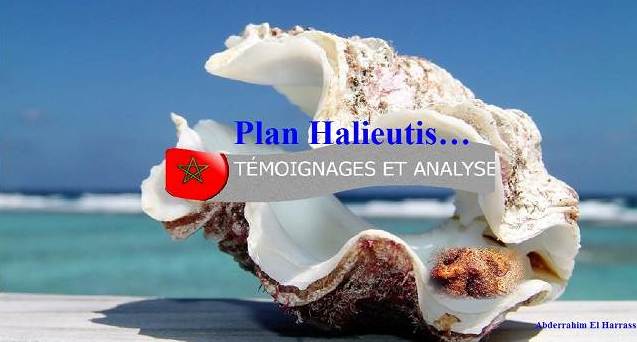 Gouvernance environnementale et les ressources naturelles-1