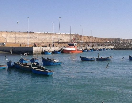 مصالح انقاذ الارواح البشرية لا تحتاج الى توظيف في الموارد البشرية بقدر ما تحتاج الى فتح تحقيق