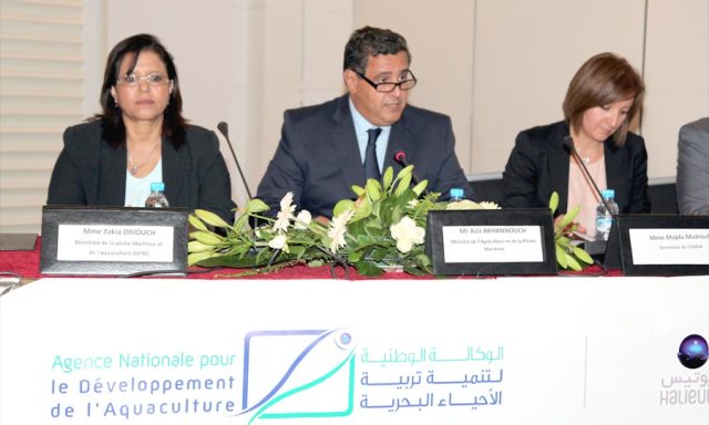 الوكالة الوطنية لتنمية تربية الأحياء البحرية تقدم مخطط عملها برسم سنة 2016 من أجل تطوير القطاع
