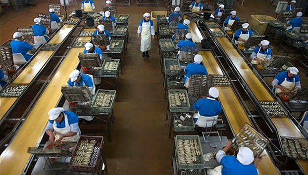 Produits de la mer : Deux scissions d’activités chez le groupe Ylara