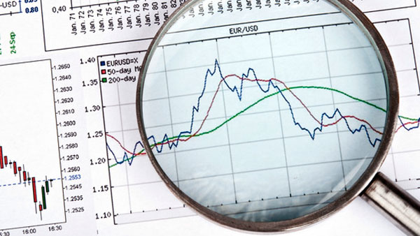 رئيس فريق الباحثين بالفاو: البيانات المتحصل عليها أقل من عمليات الصيد الحقيقية.