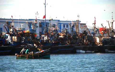 المغرب في الرتبة 10عالميا على مستوى الأداء في مجال الصيد البحري