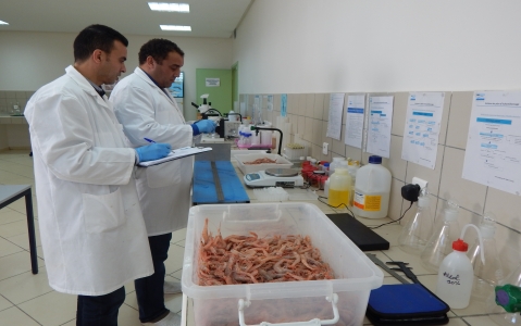 بلاغ المكتب النقابي للمعهد الوطني للبحث في الصيد البحري