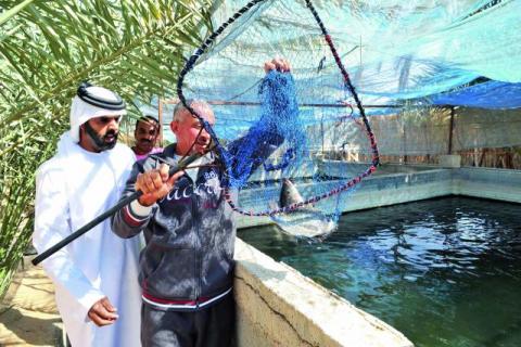 تسهيلات بخصوص اجراءات تراخيص مزارع سمكية بالامارات