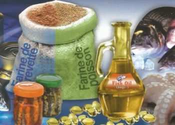 “العلامة المغربية للمنتوجات الفلاحية رمز الوحدة الوطنية”موضوع نودة بالعيون