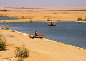 مصر تجني ثمار “الاستزراع السمكي بمحور تنمية قناة السويس وتقدم منتجا عالميا بأرخص الأسعار