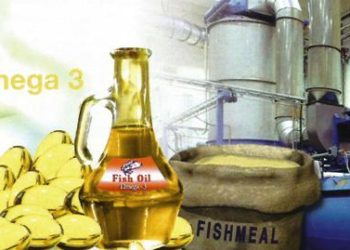 ارتفاع عائدات سوق دقيق و زيت السمك الى 2.93 مليار دولار أمريكي بحلول عام 2020.