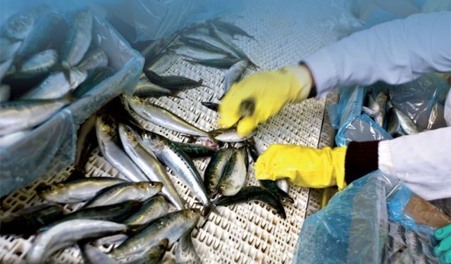 Faire des provinces du Sud un fief de l’agroalimentaire