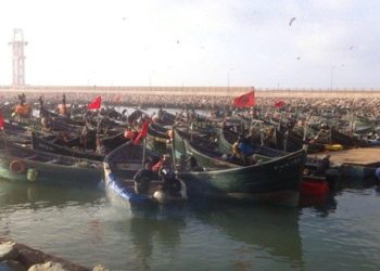 منتوجات الصيد الساحلي والتقليدي ترتفع ب5 ٪ نهاية شتنبر