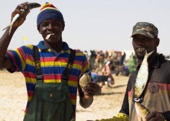 تعاون سينغالي بولوني في الصيد البحري