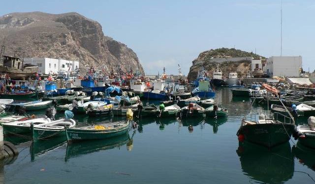 La pêche illicite entre la puissance des lobbies et l’impuissance des contrôleurs : La gageure