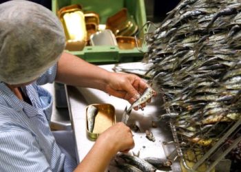 Conserves de poisson. Les coûts de production explosent