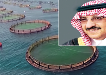 السعودية تستقطب استثمارات بـ50 مليار ريال في الاستزراع السمكي حتى 2030