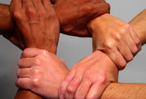 أطر و مستخدمو المكتب الوطني للصيد يتضامنون مع معتقلي الواجب الوطني